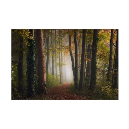 Ye  'Autumn Colorful Forest' Canvas Art, 30x47